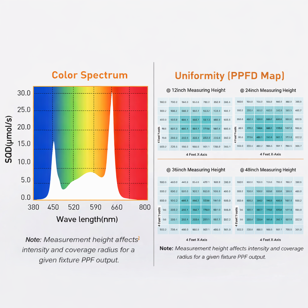 Lighting That Matches Your Canopy