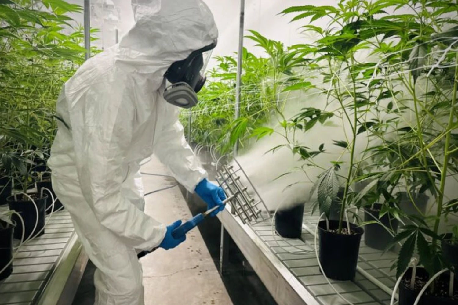 Operational sanitation and IPM inputs aligned with compliance, cost control, and predictable replenishment.