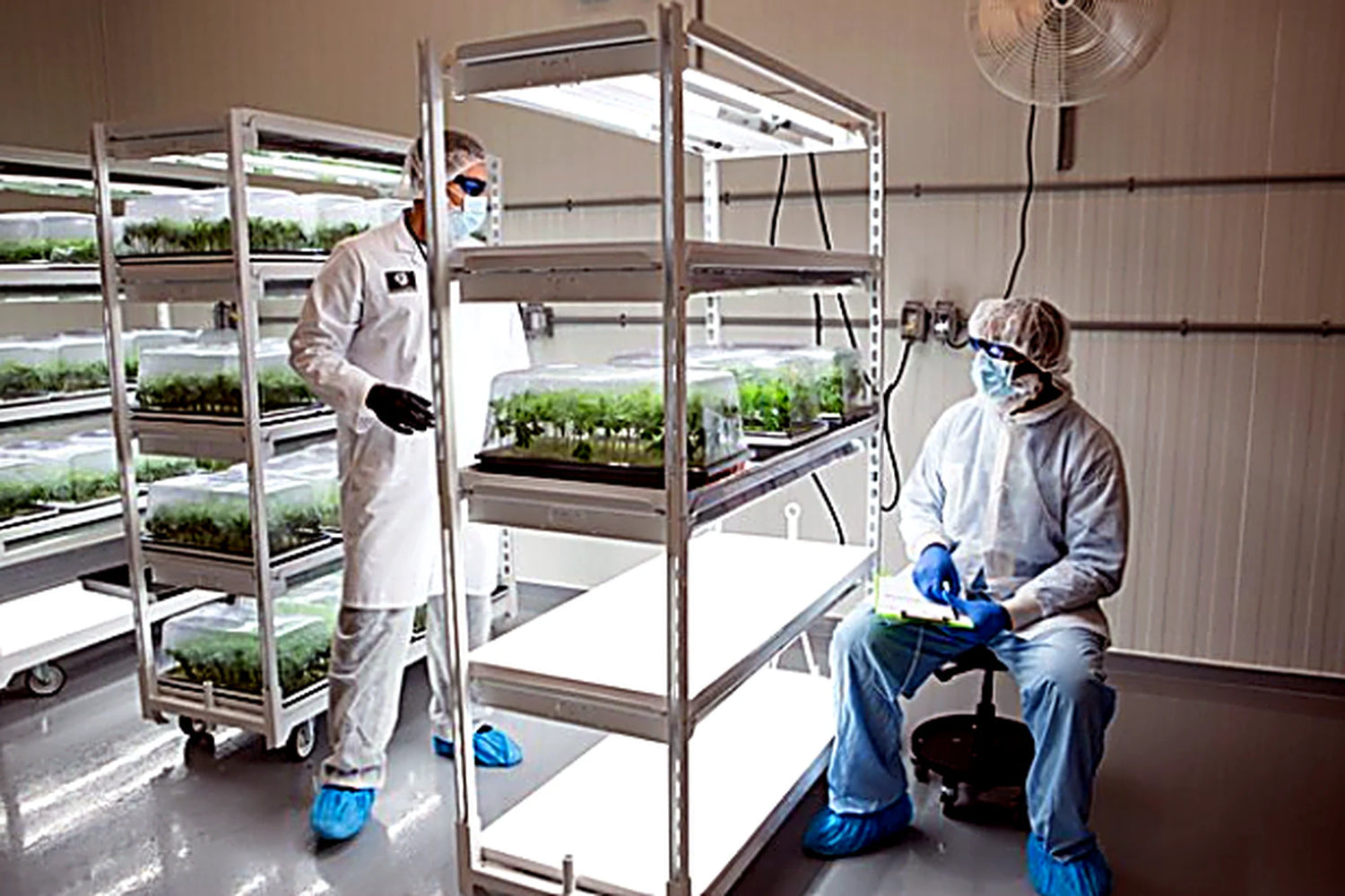 Built for High-Throughput Propagation